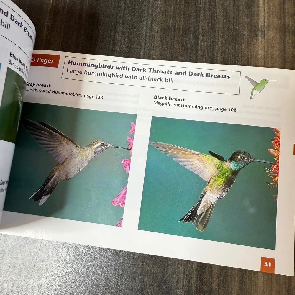 Stokes Beginner's Guide to Hummingbirds Bird Identification Book‎